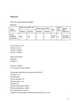 Referāts 'Kravu pārkraušanas tehnoloģija', 4.