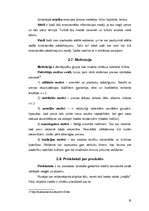 Referāts 'Reklāmas psiholoģija', 19.