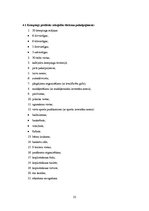 Biznesa plāns 'Kempings "Ēģiptes priedes"', 22.