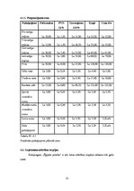 Biznesa plāns 'Kempings "Ēģiptes priedes"', 23.