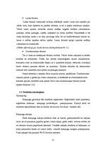 Biznesa plāns 'Kempings "Ēģiptes priedes"', 31.