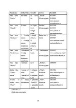 Biznesa plāns 'Kempings "Ēģiptes priedes"', 38.