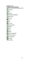 Biznesa plāns 'Kempings "Ēģiptes priedes"', 59.