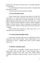 Referāts 'Olimpiskā kustība', 8.