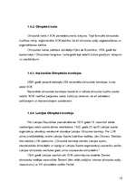 Referāts 'Olimpiskā kustība', 10.