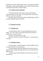 Referāts 'Olimpiskā kustība', 12.