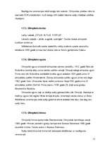 Referāts 'Olimpiskā kustība', 13.