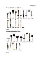 Referāts 'Olimpiskā kustība', 28.