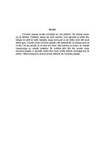 Referāts 'Lāča tēls latviešu tautas dzīvnieku pasakās', 2.