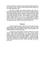 Referāts 'Lāča tēls latviešu tautas dzīvnieku pasakās', 6.