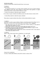 Paraugs 'Zemes sistēmu un cilvēka mijiedarbība', 3.