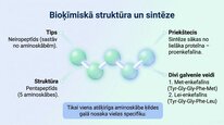 Prezentācija 'Enkefalīni', 4.