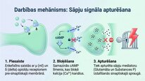 Prezentācija 'Enkefalīni', 5.