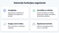 Prezentācija 'Enkefalīni', 6.