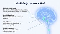 Prezentācija 'Enkefalīni', 7.
