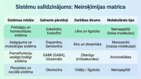 Prezentācija 'Enkefalīni', 12.