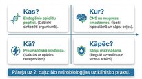 Prezentācija 'Enkefalīni', 13.