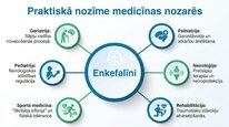 Prezentācija 'Enkefalīni', 23.