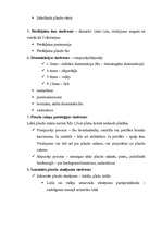 Konspekts 'Plaušu slimību radioloģiskā diagnostika', 8.