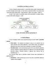 Referāts 'Latvijas valsts budžets un tā analīze', 7.