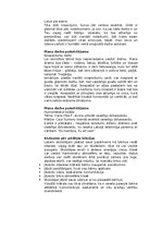 Konspekts 'Vizuālā māksla', 5.