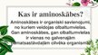 Prezentācija 'Aminoskābes un olbaltumvielas', 2.