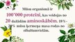 Prezentācija 'Aminoskābes un olbaltumvielas', 7.
