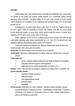 Referāts 'Biodegviela', 5.