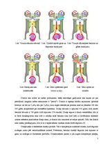 Referāts 'Biodegviela', 9.