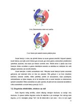 Referāts 'Biodegviela', 17.