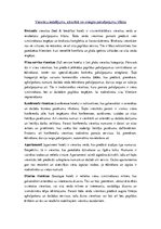 Konspekts 'Viesnīcu iedalījums, atkarībā no sniegto pakalpojumu klāsta', 1.