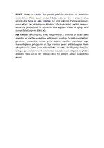 Konspekts 'Viesnīcu iedalījums, atkarībā no sniegto pakalpojumu klāsta', 2.