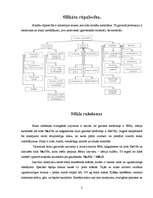 Konspekts 'Silikātu rūpniecība', 2.