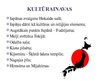 Prezentācija 'Japānas kultūras reģions', 7.