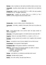 Konspekts 'Ģeogrāfijas terminu skaidrojums', 3.