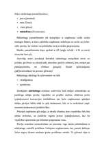 Referāts 'Konkurence un mārketings', 15.