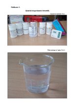 Referāts 'Dzeramā ūdens kvalitāte Rīgā', 20.