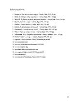 Referāts 'Maģija cauri gadsimtiem kā kultūrvēsturisks mantojums', 42.