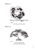 Referāts 'Maģija cauri gadsimtiem kā kultūrvēsturisks mantojums', 53.