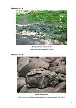 Referāts 'Maģija cauri gadsimtiem kā kultūrvēsturisks mantojums', 55.