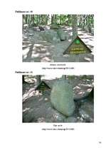 Referāts 'Maģija cauri gadsimtiem kā kultūrvēsturisks mantojums', 56.