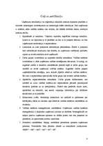 Referāts 'EMAS standarts', 9.