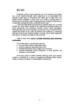 Konspekts 'Mārketinga plāns', 3.