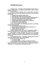 Konspekts 'Mārketinga plāns', 4.