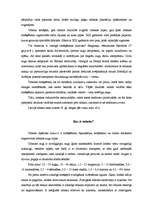 Referāts 'Smēķēšana jauniešu vidū', 5.