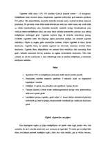 Referāts 'Smēķēšana jauniešu vidū', 9.