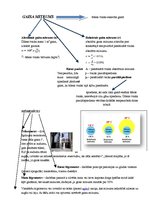 Konspekts 'Gaisa mitrums', 1.