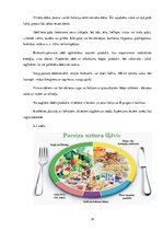 Referāts 'Veselīgs uzturs', 19.