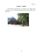 Referāts 'Veselīgs uzturs', 29.