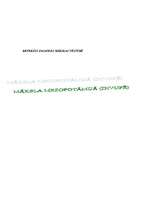 Referāts 'Māksla Mezopotāmijā', 1.